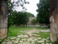 /album/fotogaleria/a1006108-10151682917890489-1390548938-n-jpg/